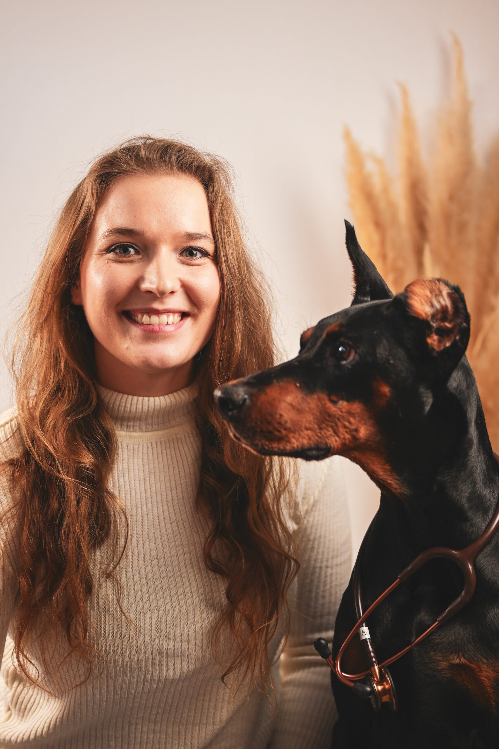 mindful-medicaltraining-hundetraining
