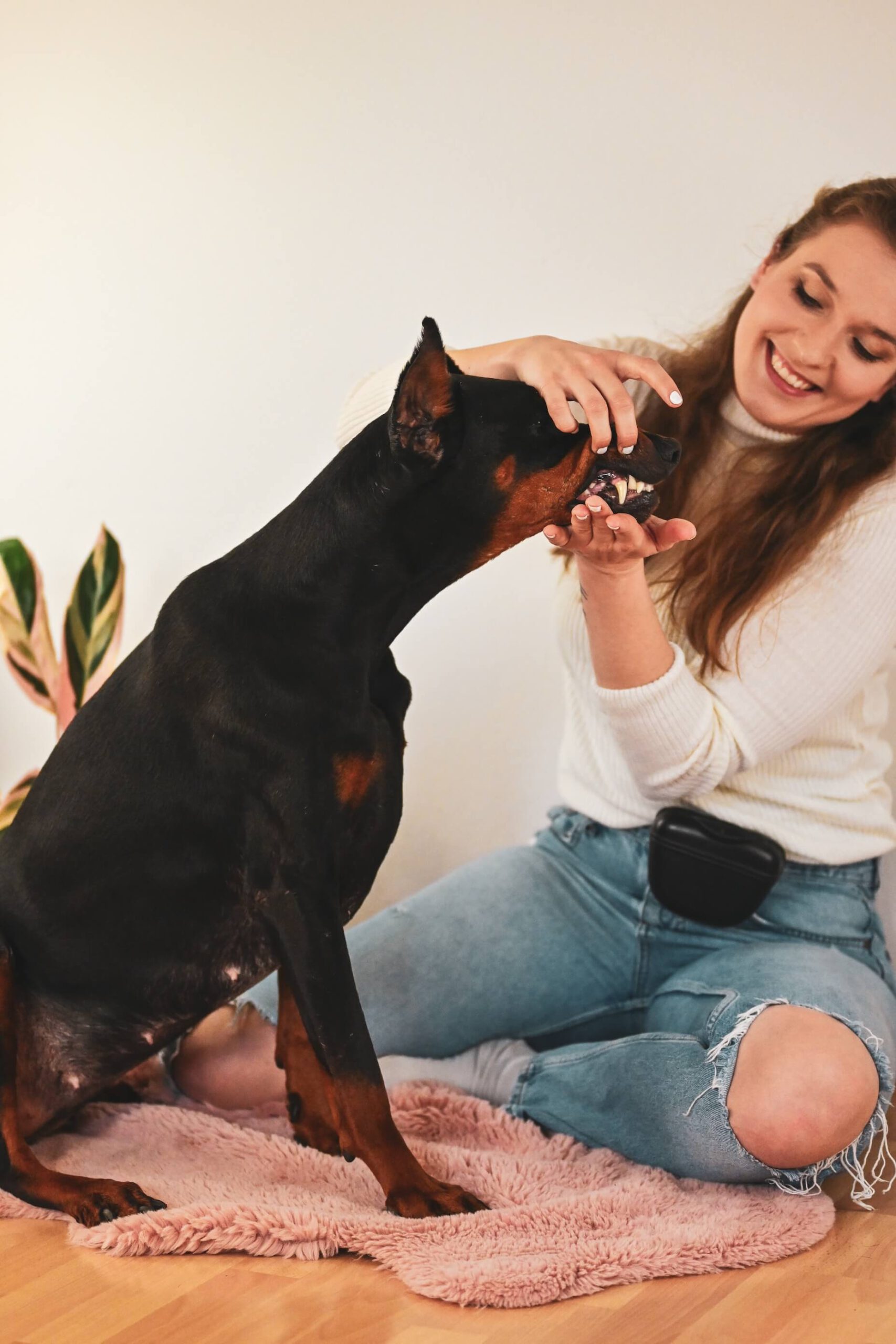 mindful-medical-training-tierarzt-anky