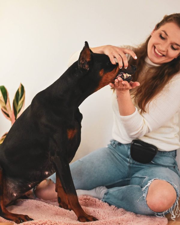 mindful-medical-training-tierarzt-anky